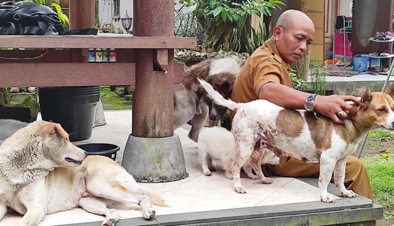 www.nusabali.com-bangli-dog-lovers-keliling-beri-makan-anjing