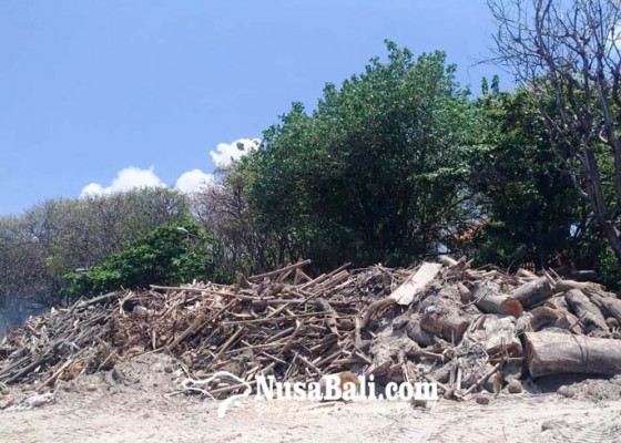 Nusabali.com - 142-ton-sampah-kiriman-diangkut-ke-tpa-suwung