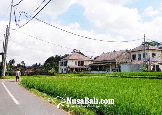 Nusabali.com - komitmen-bijak-dan-solusi-eco-cultural-tourism