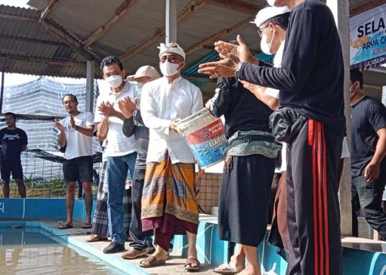Nusabali.com - puluhan-peserta-ikuti-lomba-mancing-arya-catfish-competition-i