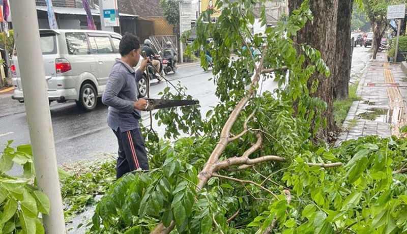 www.nusabali.com-kelurahan-sesetan-respons-cepat-pohon-tumbang