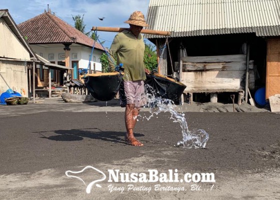 Nusabali.com - intip-proses-memanen-air-laut-secara-tradisional-hasilkan-kristal-putih-alami-nan-gurih