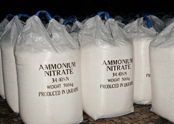 Nusabali.com - bea-cukai-amankan-50-ton-amonium-nitrat