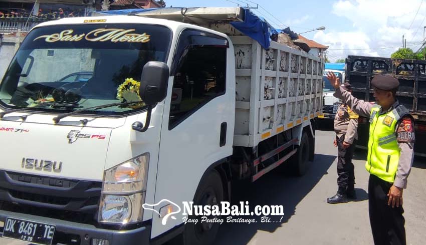 www.nusabali.com-antrean-truk-hingga-bus-di-spbu-masih-terjadi-pertamina-alihkan-kuota-solar-di-spbu