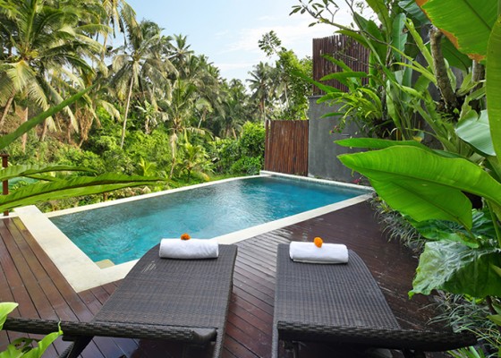 Nusabali.com - dedary-resort-resort-paling-lengkap-di-ubud-dengan-fasilitas-restoran-hingga-spa
