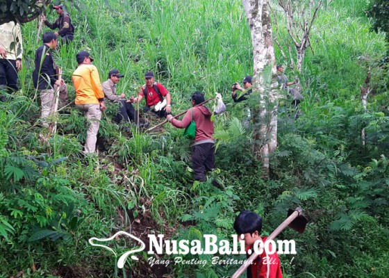 Nusabali.com - kph-bali-timur-tanam-1000-pohon-nangi