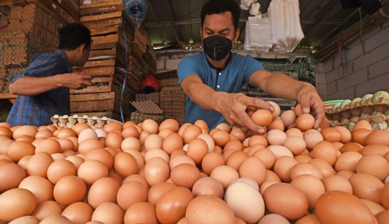 www.nusabali.com-harga-telur-ayam-melonjak-mendag-bakal-subsidi-ongkir