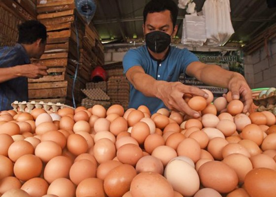 Nusabali.com - harga-telur-ayam-melonjak-mendag-bakal-subsidi-ongkir