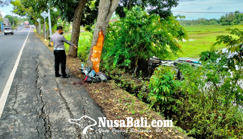 www.nusabali.com-pick-up-angkut-pekerja-proyek-tabrak-pohon