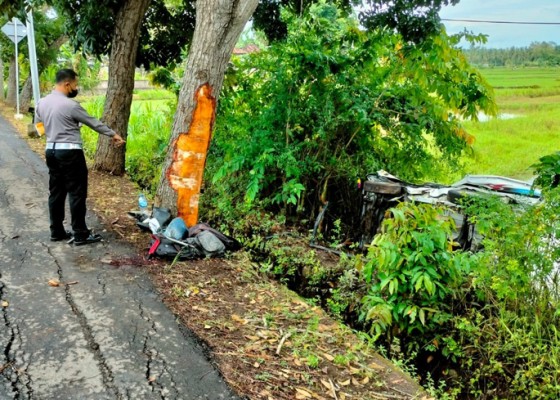 Nusabali.com - kecelakaan-pick-up-muat-pekerja-proyek-dua-orang-meninggal-dunia