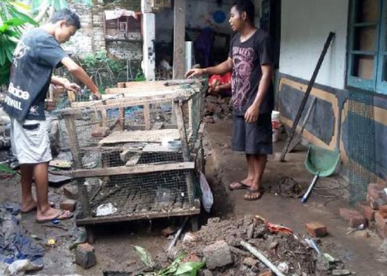 Nusabali.com - hujan-deras-tiga-rumah-rusak