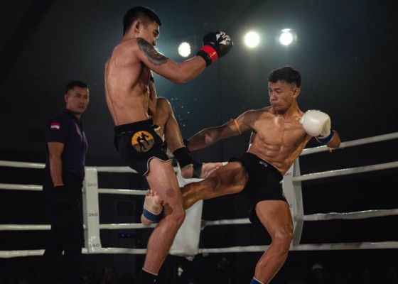 Nusabali.com - summer-fights-kirim-tiga-petarung-ke-thailand