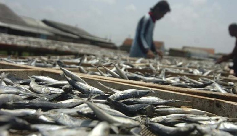 www.nusabali.com-nelayan-tanyakan-tangkap-ikan-berbasis-kuota