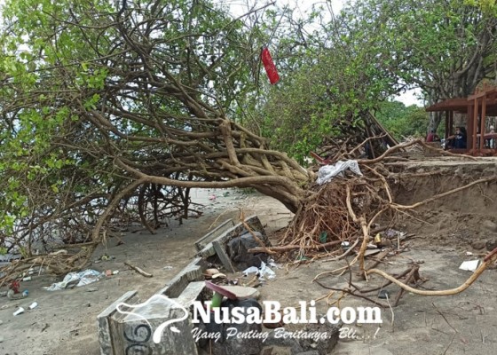 Nusabali.com - terus-dihantam-gelombang-abrasi-pantai-kuta-kian-parah