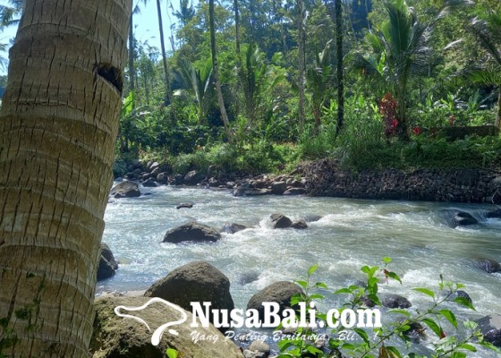 Nusabali.com - world-water-forum-wwf-ke-10-digelar-di-bali-kearifan-lokal-bali-mengenai-air-bisa-jadi-acuan-dunia