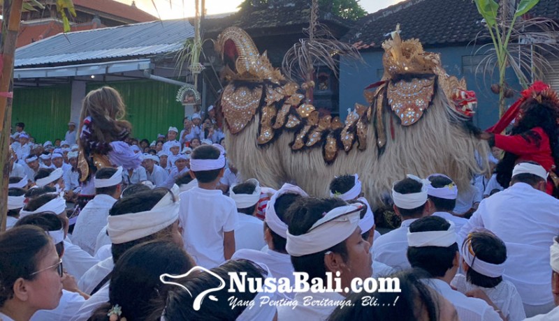 www.nusabali.com-seluruh-penari-kaum-pria-desa-adat-jimbaran-jalankan-tradisi-sakral-mepajar
