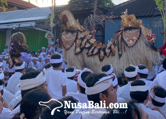 Nusabali.com - seluruh-penari-kaum-pria-desa-adat-jimbaran-jalankan-tradisi-sakral-mepajar