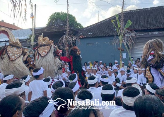 Nusabali.com - seluruh-penari-berjenis-kelamin-laki-laki-diakhiri-tradisi-ngunying