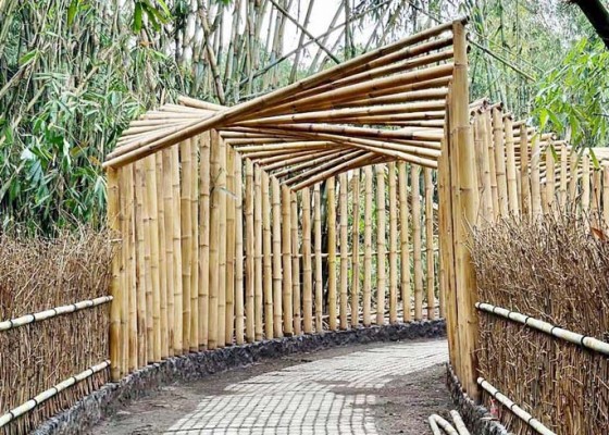 Nusabali.com - wujudkan-nuansa-baru-hutan-bambu-penglipuran-ditata