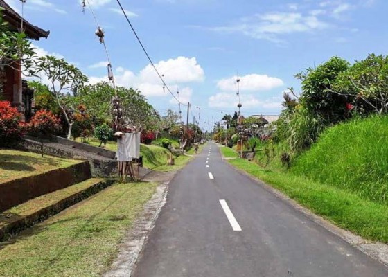 Nusabali.com - sambut-wisman-desa-wisata-pinge-terkendala-bahasa