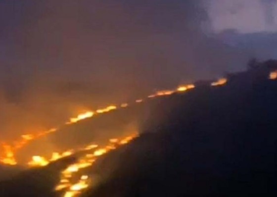 Nusabali.com - lahan-bukit-teletubies-terbakar