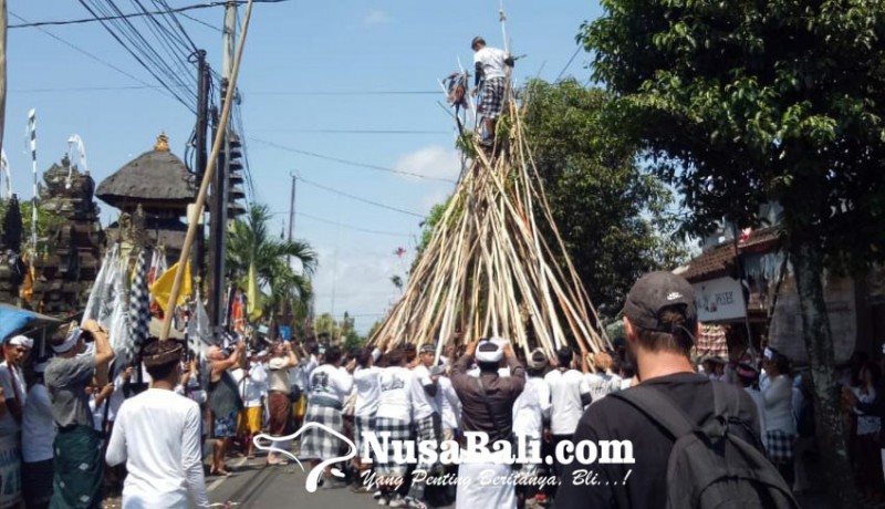 www.nusabali.com-libatkan-4000-orang-desa-adat-munggu-gelar-tradisi-tolak-bala-mekotek