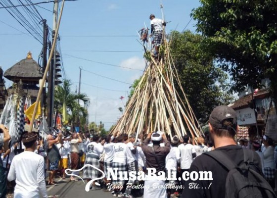 Nusabali.com - libatkan-4000-orang-desa-adat-munggu-gelar-tradisi-tolak-bala-mekotek