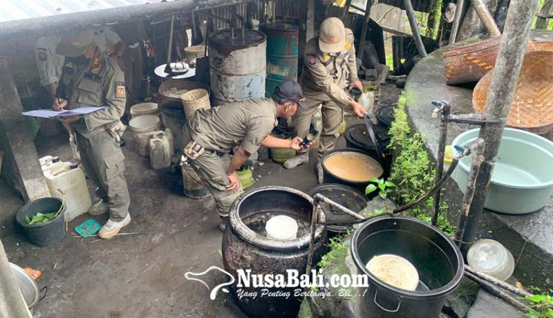 www.nusabali.com-jelang-hari-arak-bali-satpol-pp-tertibkan-produsen-arak-gula