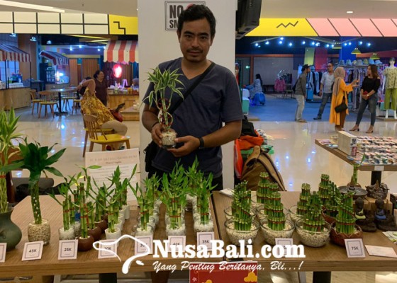 Nusabali.com - bambu-hoki-si-pembawa-keberuntungan-jumlah-bambu-punya-arti-berbeda