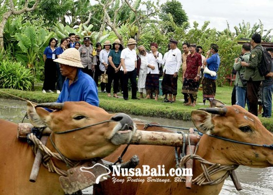 Nusabali.com - wamendes-pdtt-apresiasi-inovasi-desa-budaya-kertalangu