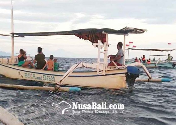 Nusabali.com - dirancang-rp-75000-hingga-rp-100000-tarif-menonton-lumba-lumba-akan-diatur