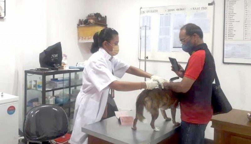 www.nusabali.com-mangupura-vet-care-berlanjut-hewan-peliharaan-warga-dapat-layanan-gratis