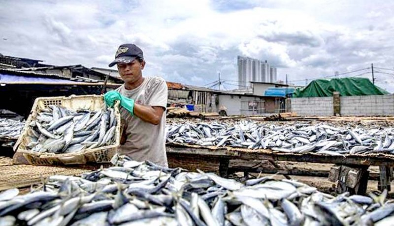 www.nusabali.com-memiliki-laut-luas-ri-masih-impor-ikan-dari-china-as-rp-461-m