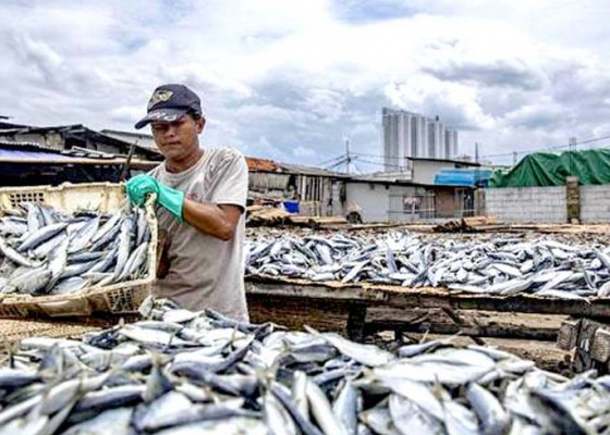 Nusabali.com - memiliki-laut-luas-ri-masih-impor-ikan-dari-china-as-rp-461-m