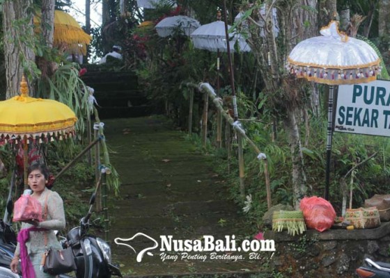 Nusabali.com - melihat-dari-dekat-pura-sekar-taji-di-wilayah-kecamatan-petang-badung