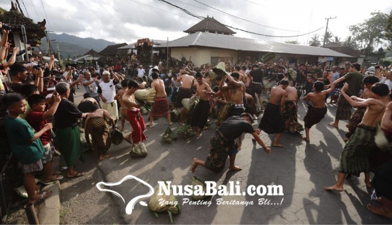 www.nusabali.com-seru-dan-unik-tradisi-siat-sarang-di-karangasem-perang-bersenjatakan-alas-bekas-jaja-uli