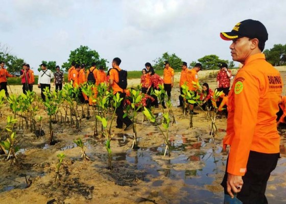 Nusabali.com - basarnas-tanam-500-bibit-mangrove-di-tanjung-benoa