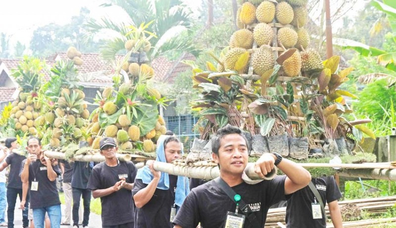 www.nusabali.com-festival-durian-candimulyo