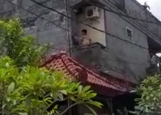 Nusabali.com - naik-atap-rumah-warga-pria-asal-pemalang-diamuk-massa