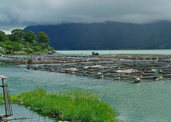 Nusabali.com - harga-pakan-melambung-petani-ikan-kelimpungan