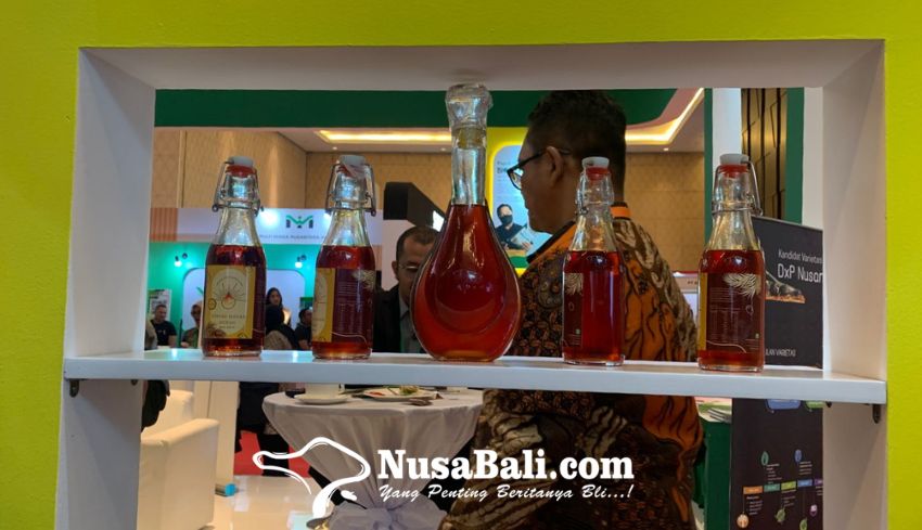 www.nusabali.com-minyak-makan-merah-kaya-akan-vitamin-a-dan-e-konon-bisa-cegah-stunting