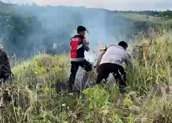 Nusabali.com - semak-belukar-di-bukit-teletubies-terbakar