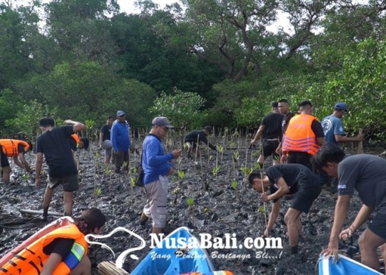 Nusabali.com - tingkatkan-kesadaran-dan-perhatian-masyarakat-temuyuk-crew-tanam-160-bibit-mangrove