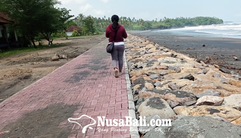 www.nusabali.com-jadi-pantai-berabrasi-terparah-di-tabanan-pantai-balian-dipasangi-tanggul