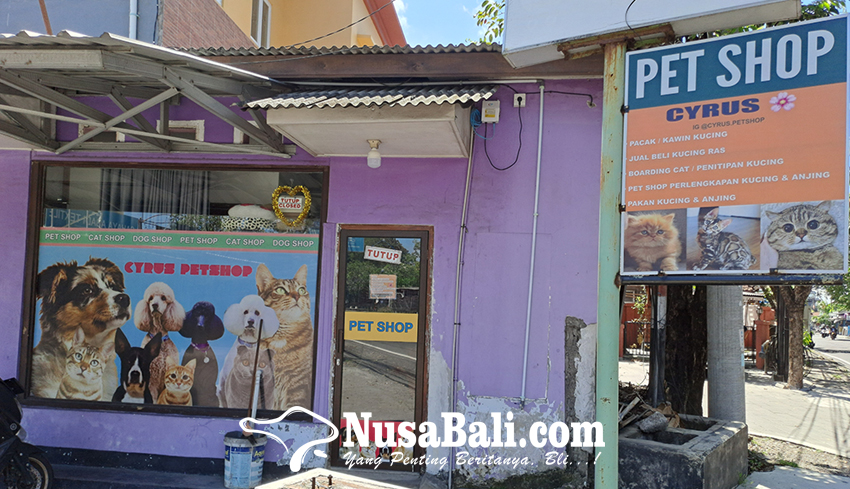 www.nusabali.com-melihat-hotel-kucing-di-kota-denpasar-yang-ramai-saat-musim-mudik-lebaran-idul-fitri-2023