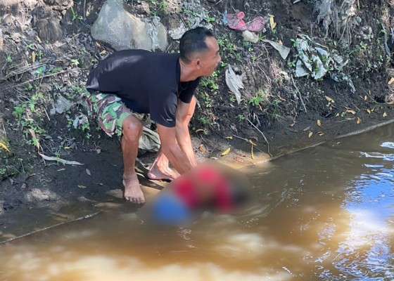 Nusabali.com - bocah-dua-tahun-tewas-tenggelam-di-sungai-ayung