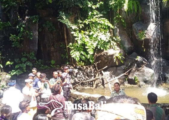 Nusabali.com - bali-safari-park-hadirkan-hutan-hujan-tropis