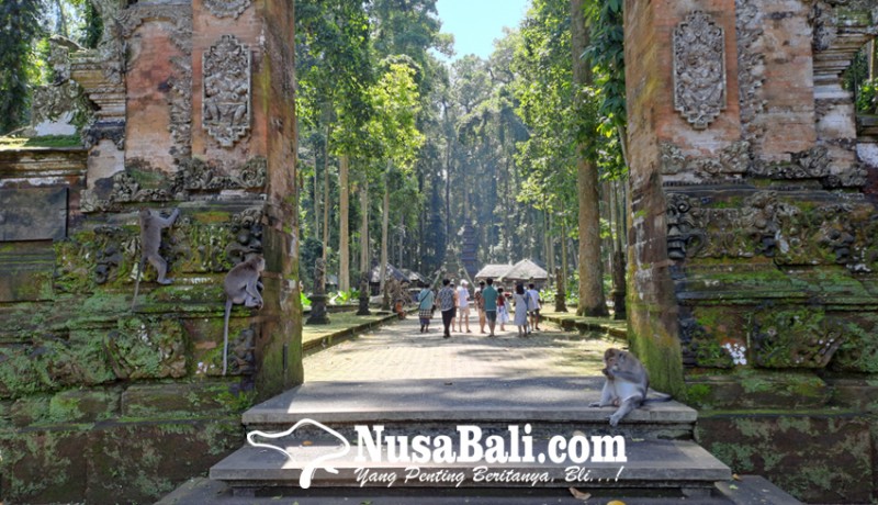 www.nusabali.com-libur-lebaran-wisatawan-domestik-sangeh-monkey-forest-bertambah