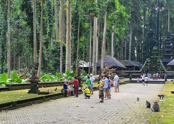 Nusabali.com - libur-lebaran-objek-wisata-sangeh-diserbu-pengunjung