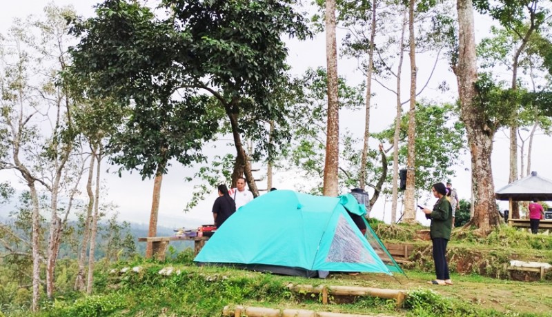 www.nusabali.com-kawasan-munduk-ngandang-dikelola-jadi-camping-ground